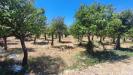Terreno in vendita classe A4 a Floridia - 05