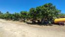 Terreno in vendita classe A4 a Floridia - 06
