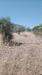 Terreno in vendita classe A4 a Floridia - 03