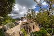 Villa in affitto con giardino a Orbetello in via del lentisco 27 - ansedonia - 03, 1M8A7256-HDR.JPG