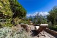 Villa in vendita con giardino a Monte Argentario in strada dei fari snc - porto santo stefano - 04, 1M8A9763-HDR.JPG