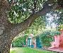 Villa in affitto con giardino a Monte Argentario - porto santo stefano - 03, IMG_1209.jpg