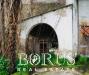Rustico in vendita da ristrutturare a San Cipriano d'Aversa in via delle rose - 06, Foto 6