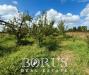 Terreno Agricolo in vendita a Trentola-Ducenta - 04, Foto 4