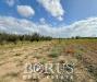 Terreno Agricolo in vendita a Trentola-Ducenta - 08, Foto 8