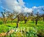 Terreno Agricolo in vendita a Casaluce - 08, Foto 8