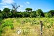 Terreno Agricolo in vendita a Sessa Aurunca in via travata - 03, Foto 3