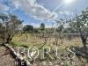 Villa in vendita con giardino a Pontelandolfo - 10, Foto 10