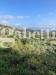 Villa in vendita con giardino a Gavignano - 05, WhatsApp Image 2023-11-17 at 17.26.13 (1).jpeg