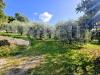 Villa in vendita con giardino a Paliano - 05, 1000213505.jpg