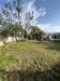 Villa in vendita con giardino a Paliano - 03, WhatsApp Image 2023-10-19 at 11.15.10 (23).jpeg
