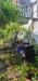 Appartamento in affitto con giardino a Torino in via viverone 13 - parella - 03, WhatsApp Image 2026-05-12 at 12.10.40 (10).jpg