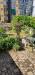Appartamento in affitto con giardino a Torino in via viverone 13 - parella - 03, WhatsApp Image 2026-05-12 at 12.10.41 (4).jpg