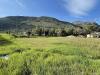 Terreno Agricolo in vendita a Terracina - 08, 431307605_2187671901568353_7059241419022194408_n.j
