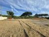 Terreno Agricolo in vendita a Terracina - 04, db65bd0e-3d13-45e5-8708-35047e285079.jpg