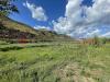 Terreno Agricolo in vendita a Terracina - 06, 50c6a24a-3de6-41d6-a359-2bf35e5ff52a (1).jpg