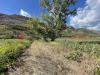 Terreno Agricolo in vendita a Terracina - 08, 58749808-ff0d-4b93-9098-6ab918e5d948.jpg