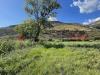 Terreno Agricolo in vendita a Terracina - 09, 81287625-562c-40d4-ad5b-6295b53b7c59.jpg