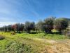 Terreno Agricolo in vendita a Terracina - 06, image00009.jpeg