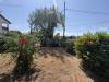 Villa in vendita con giardino a Terracina - 04, IMG_4165.jpeg