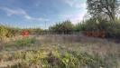 Casa indipendente in vendita con box doppio in larghezza a Pontinia - 03, 0E39BC57-6F5D-4A24-9992-372DA00AB531.jpeg