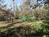 Terreno Commerciale in vendita con giardino a Monteforte Irpino in via contrada campi - 09