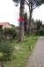 Villa in vendita con giardino a Roma in via di vallerano 112 - 10, Foto 10