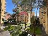 Appartamento bilocale in vendita a Roma in via di grotta perfetta 130 - 02, Foto 2