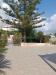 Villa in vendita a Noto - 04, WhatsApp Image 2026-10-05 at 10.09.22.jpeg