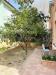 Appartamento bilocale in affitto con giardino a Fano in via madonna mare 25 - 06, giardino