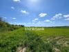 Terreno Agricolo in vendita a Noto in s.lorenzo ix strada snc - 03, Foto 3