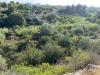 Terreno Agricolo in vendita a Avola in via puzzi - 08, Foto 8