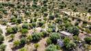 Terreno Agricolo in vendita a Noto in ss 115 sud occidentale sicula - 10, Foto 10