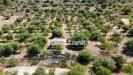 Terreno Agricolo in vendita a Noto in ss 115 sud occidentale sicula - 09, Foto 9