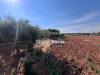 Terreno Edificabile in vendita a Scicli in strada provinciale 44 - 07, Foto 7