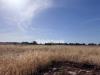 Terreno Agricolo in vendita a Ragusa in sp 25 - 08, Foto 8