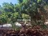 Appartamento in vendita a Siracusa in piazza santa lucia 52 - 02, Foto 2