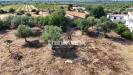 Rustico in vendita con giardino a Siracusa in via degli ulivi - 08, Foto 10