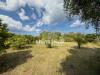 Terreno Edificabile in vendita a Siracusa in via del pettirosso - 02, Foto 2