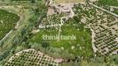 Rustico in vendita con giardino a Noto in strada provinciale 18 - 06, Foto 6