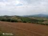 Terreno Agricolo in vendita a Castel Frentano in localita' catoscio - 03, IMG_20230530_114608_030 (Copia).jpg