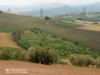 Terreno Agricolo in vendita a Castel Frentano in localita' catoscio - 04, IMG_20230530_114613_746 (Copia).jpg