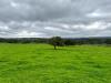 Terreno Agricolo in vendita a Tempio Pausania - 10, Foto 10