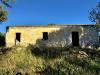 Terreno Agricolo in vendita con giardino a Luogosanto in localit stazzo ziu malcu austinu - 03, Foto 3