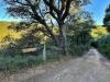 Terreno Agricolo in vendita con giardino a Luogosanto in localit stazzo ziu malcu austinu - 06, Foto 7