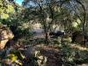 Terreno Agricolo in vendita con giardino a Luogosanto in localit stazzo ziu malcu austinu - 07, Foto 9