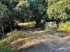 Terreno Agricolo in vendita con giardino a Luogosanto in localit stazzo ziu malcu austinu - 08, Foto 10