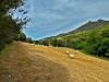 Terreno Agricolo in vendita a Luogosanto - 10, Foto 10