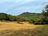 Terreno Agricolo in vendita a Luogosanto - 06, Foto 6