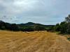 Terreno Agricolo in vendita a Luogosanto - 07, Foto 7